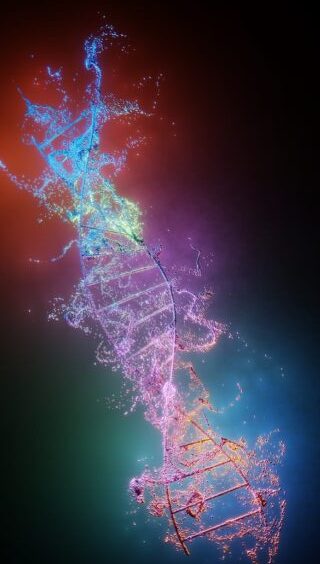 Diagnósticos Neurogenética