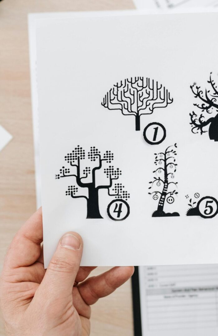 Diagnósticos Evaluación